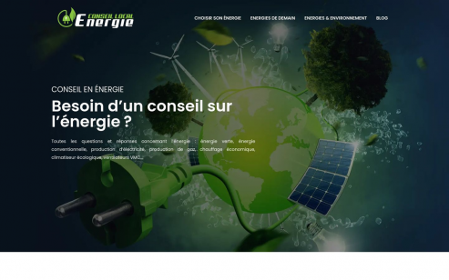 https://www.conseil-local-energie.com